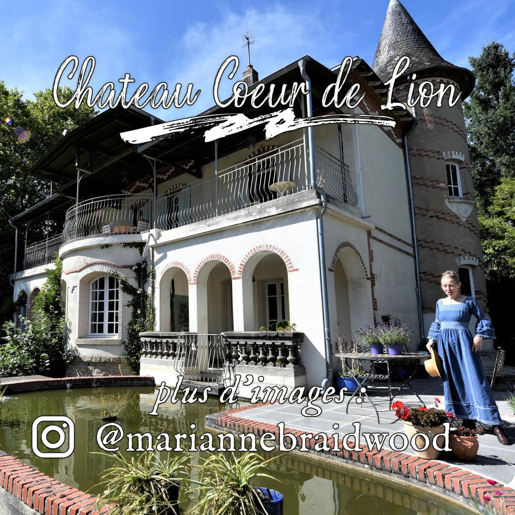 Chateau Coeur De Lion Châteauponsac Exteriér fotografie