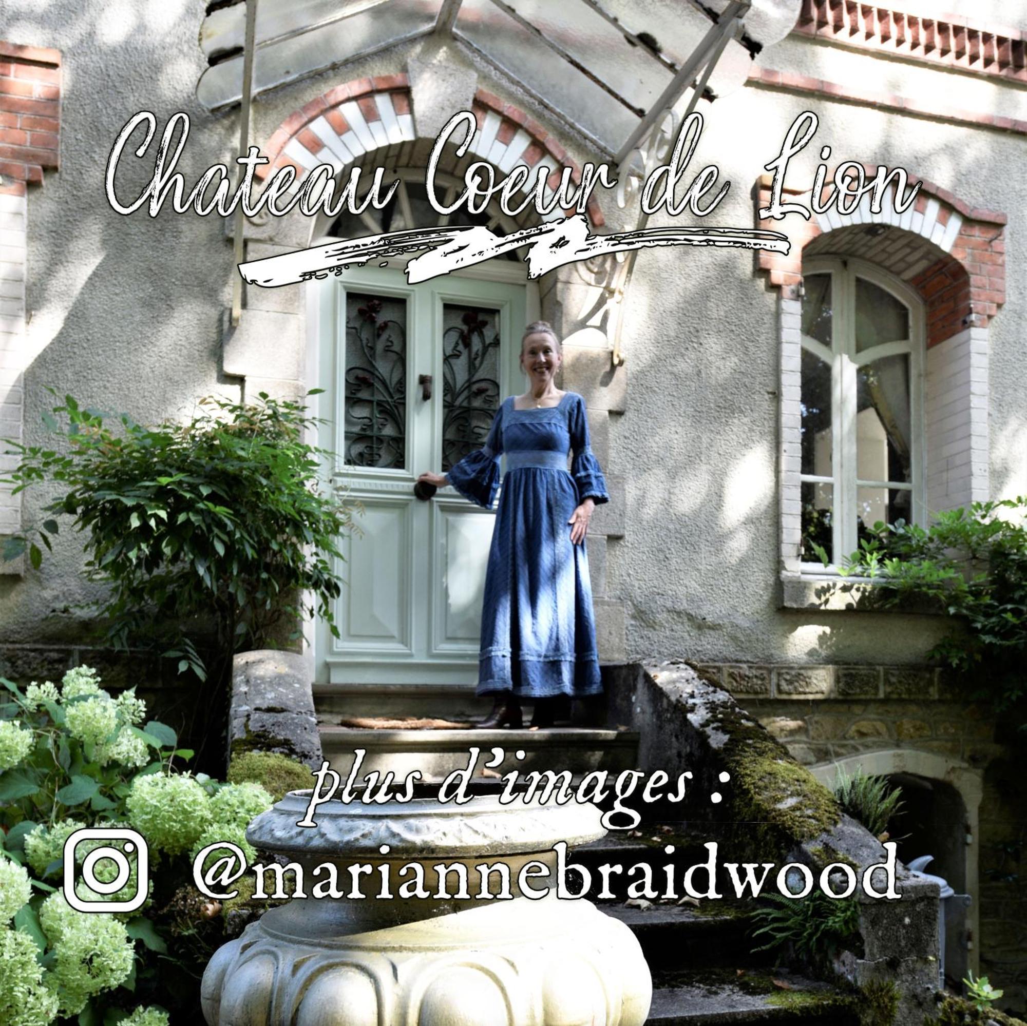 Chateau Coeur De Lion Châteauponsac Exteriér fotografie
