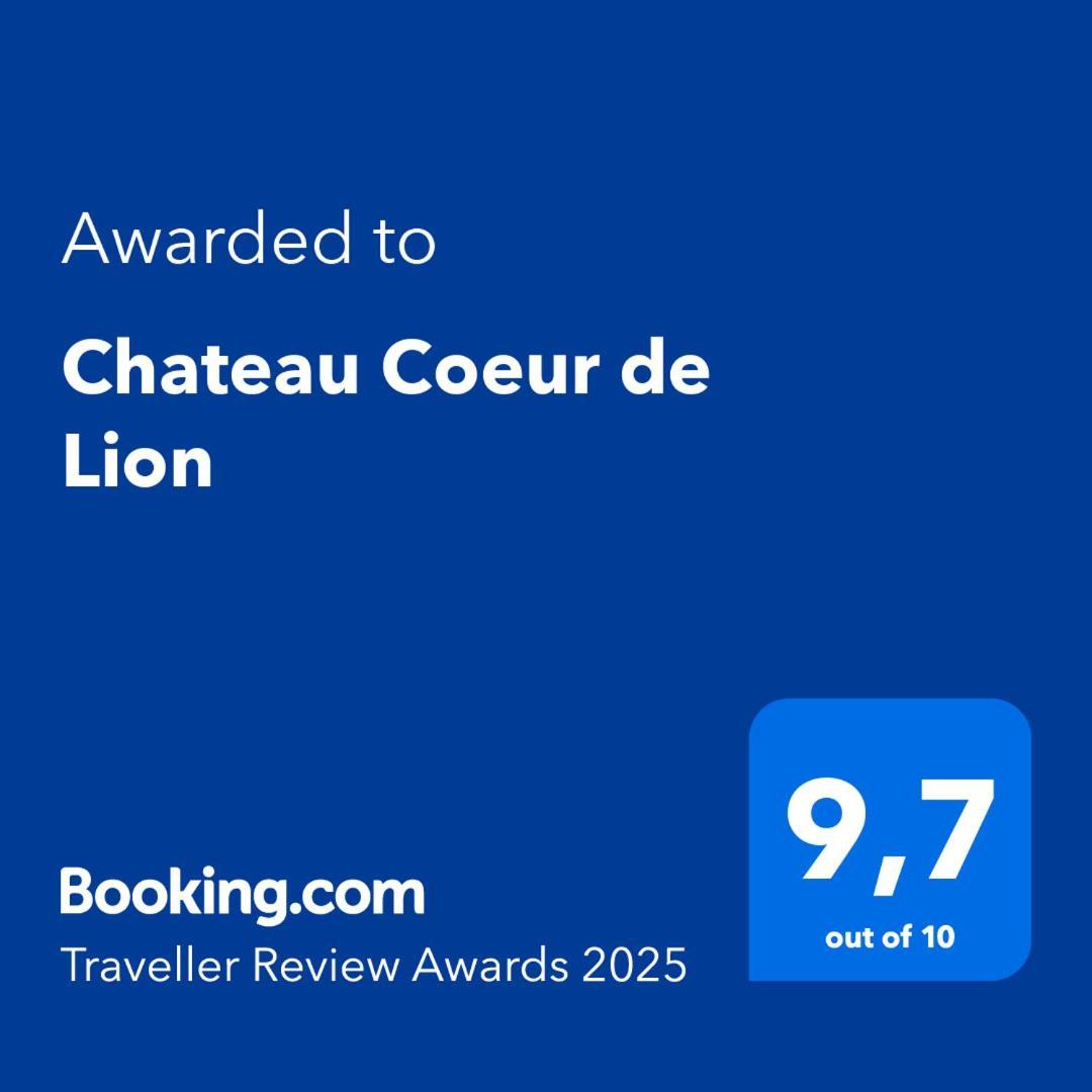Chateau Coeur De Lion Châteauponsac Exteriér fotografie